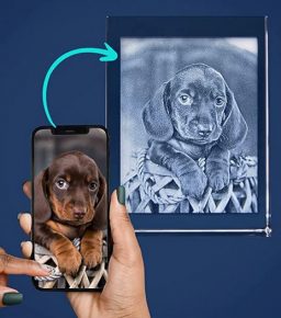 hund_Handy_bildgravur